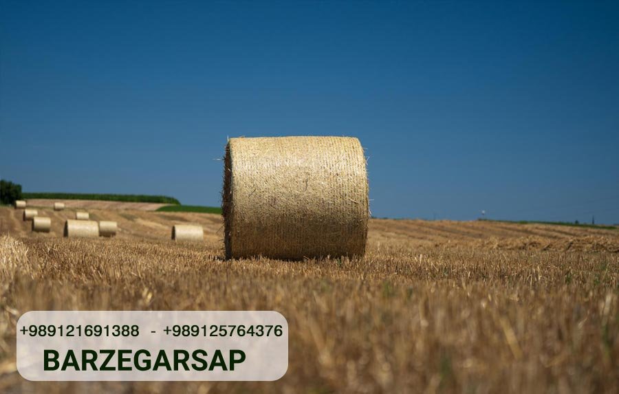 The Role of Baler Twine in Sustainable Agriculture